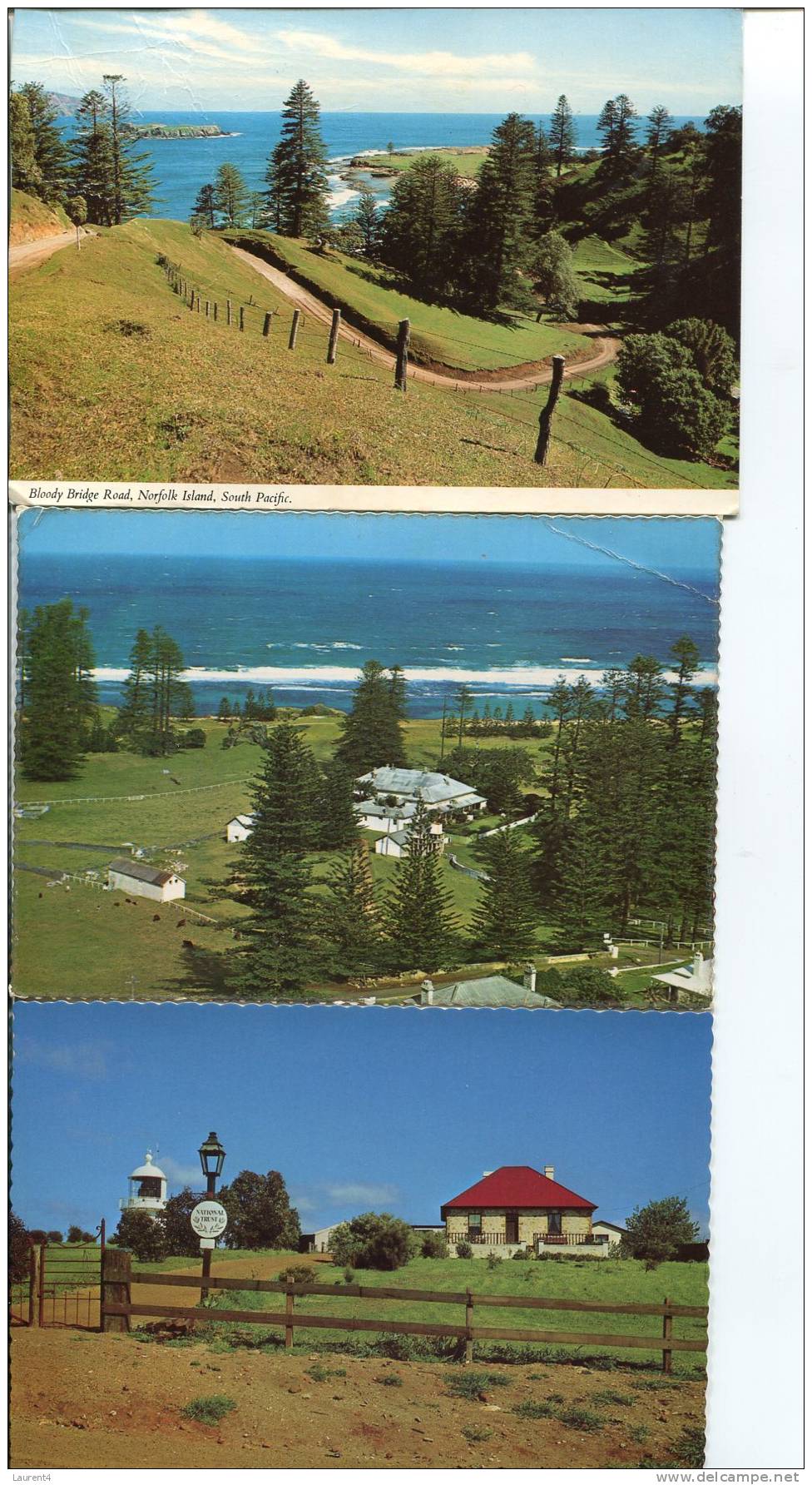 (175) 3 X Island Postcard - Carte Postale Sur Les Iles Pacifique - Otros & Sin Clasificación