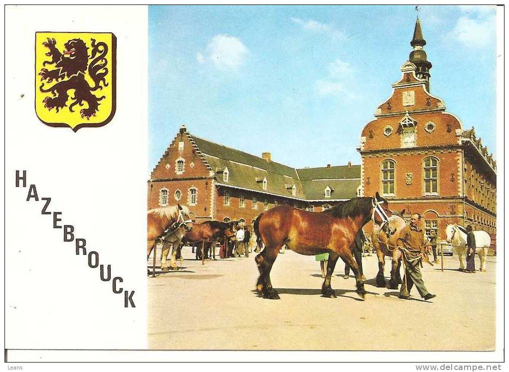 HAZEBROUCK  Le Marché Aux Chevaux - Hazebrouck