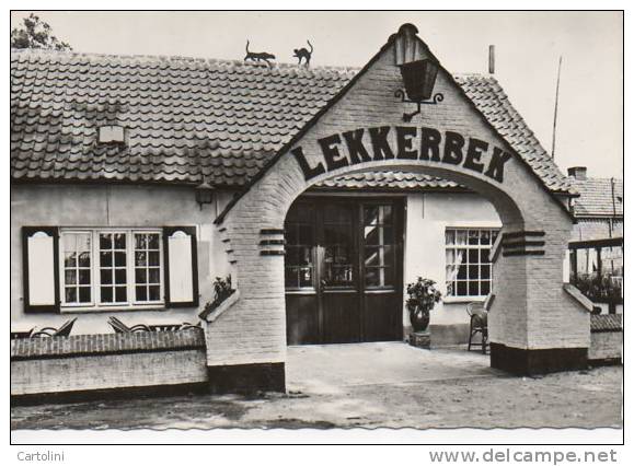 Waasmunster Gasthof Lekkerbek Café Restaurant - Waasmunster