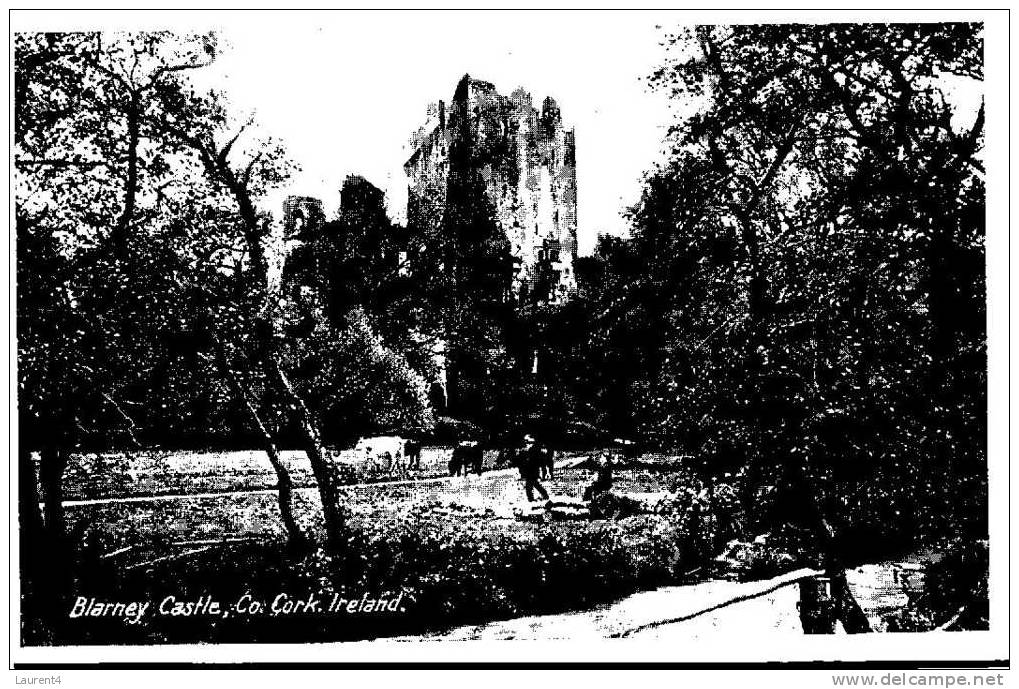 (51) Old Ireland Postcard - Carte Ancienne - Co Cork Blarney Castle - Cork