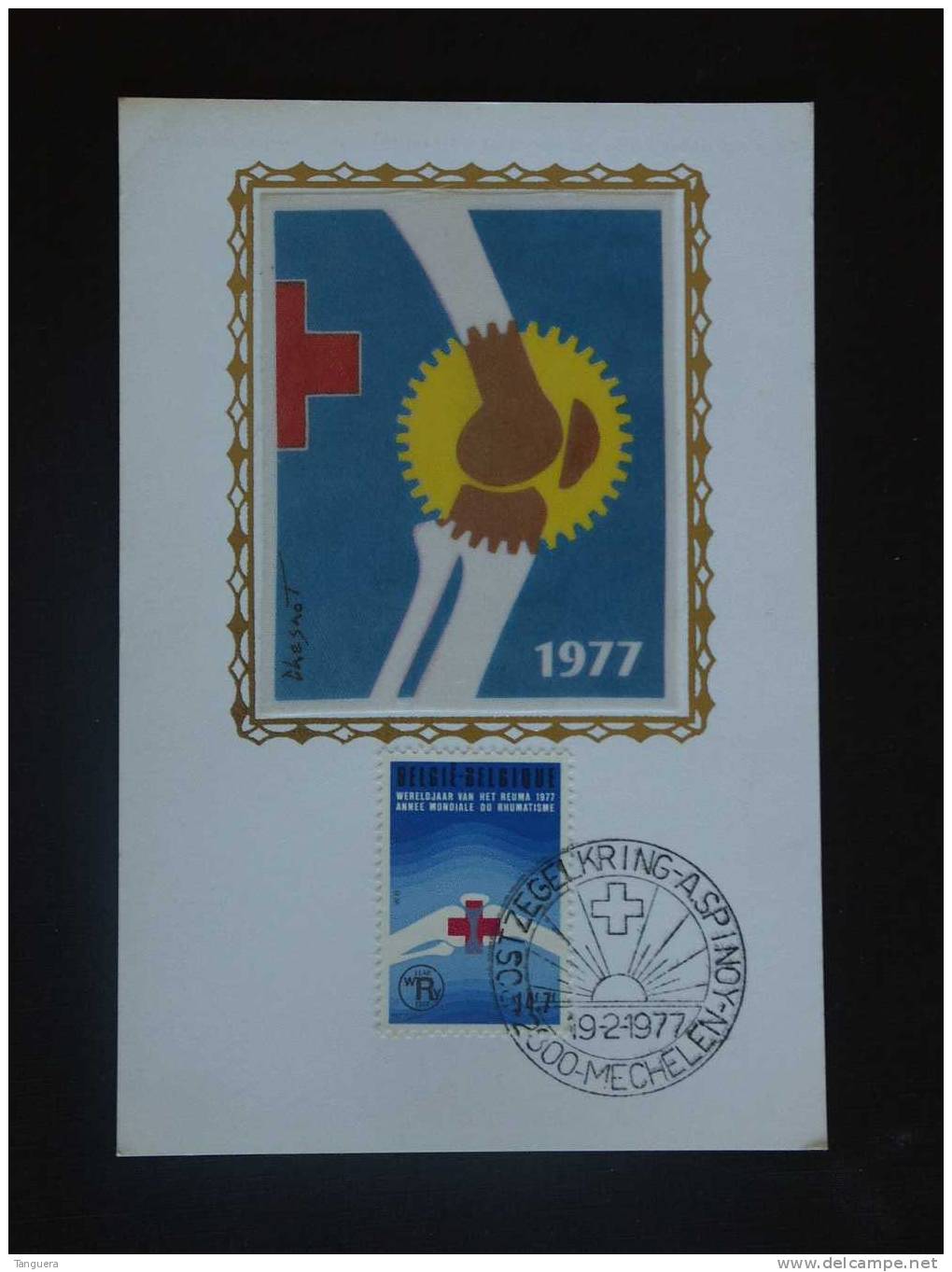 België Belgique Belgium HK CS 19.2.1977 Mechelen Année De Rhumatisme Rhuma Rode Kruis Croix Rouge 1841 - Erinnerungskarten – Gemeinschaftsausgaben [HK]