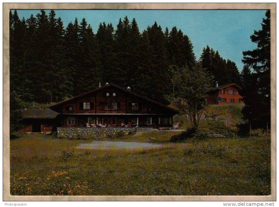 Braunwald - Glarus - Berghaus Hahenbühl Und Bergaus Wettstein (Basel) - Braunwald