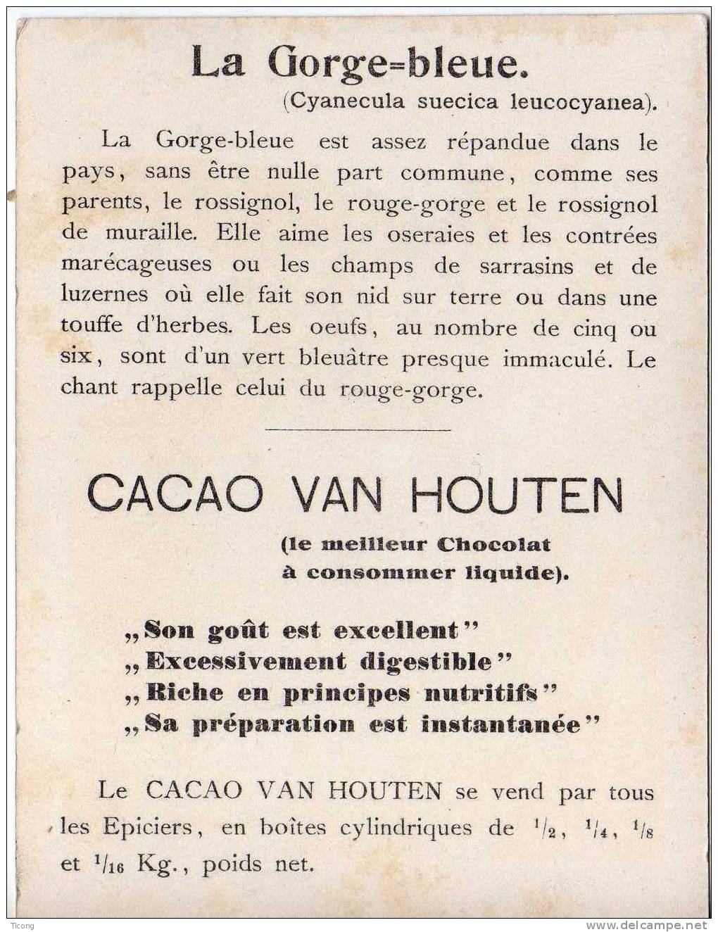 CHROMO CACAO VAN HOUTEN IMAGE ANCIENNE  - LA GORGE BLEUE ( GRAND FORMAT ) - Van Houten