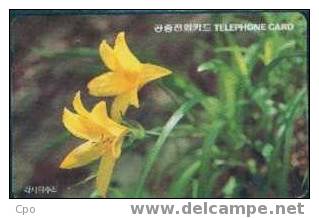 # KOREA O9306108 Hemerocllis Dumortieri 3000 Autelca 06.93 -fleurs,flowers- Tres Bon Etat - Korea, South