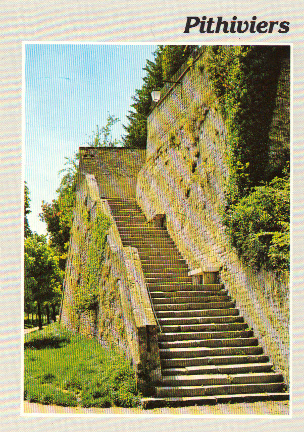 CPM De Pithiviers   Les Remparts, L'Escalier De La Poterne - Pithiviers