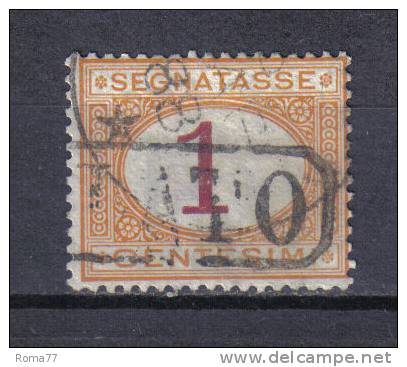 SS3151 - REGNO 1870 , Segnatasse 1 Cent N. 3 Usato - Postage Due