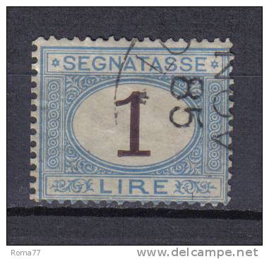 SS3156 - REGNO 1870 , Segnatasse 1 Lira N. 11 Usato - Strafport