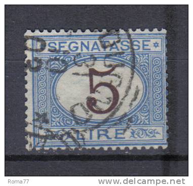 SS3161 - REGNO 1870 , Segnatasse 5 Lire N. 13  Usato - Strafport