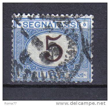 SS3162 - REGNO 1870 , Segnatasse 5 Lire N. 13  Usato - Strafport