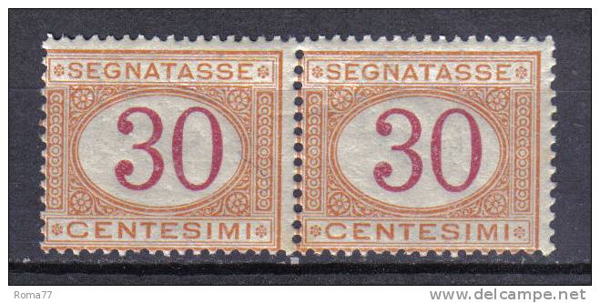SS3172 - REGNO 1890 , Segnatasse 30 Cent N. 23 Coppia Integra  *** - Strafport