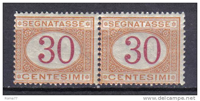 SS3172 - REGNO 1890 , Segnatasse 30 Cent N. 23 Coppia Integra  *** - Impuestos