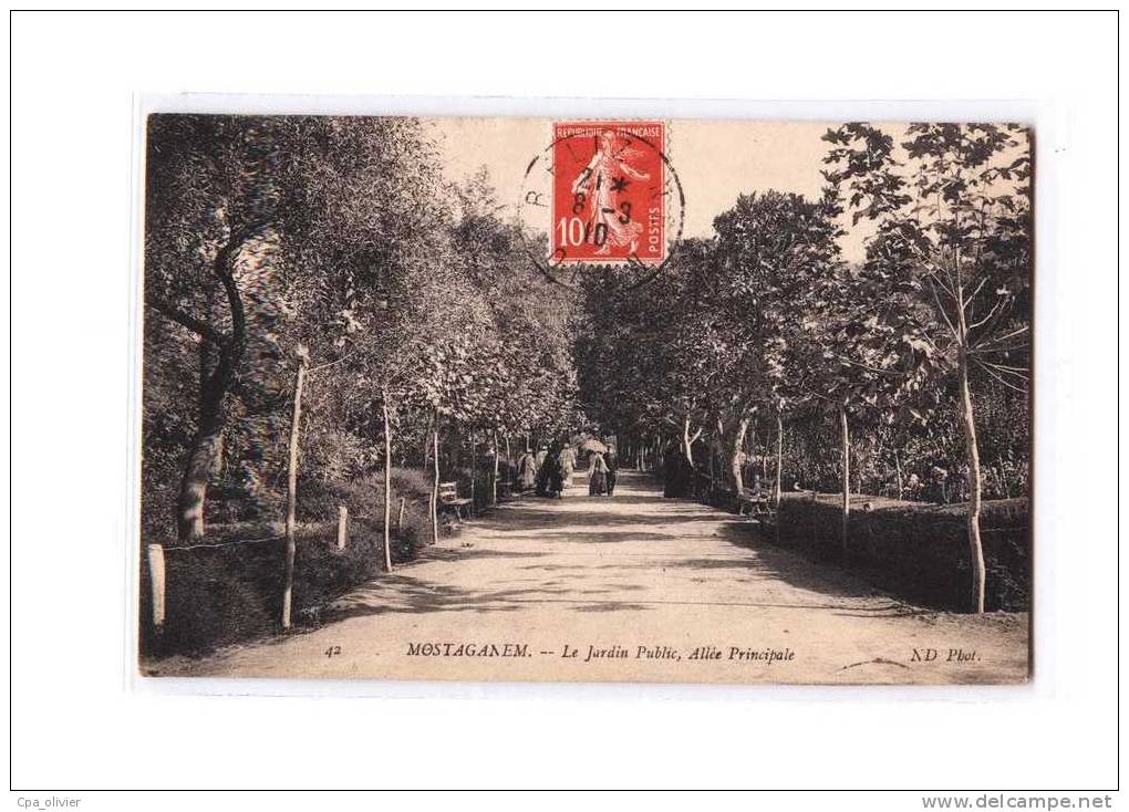 ALGERIE Mostaganem Jardin Public, Allée Principale, Ed ND 42, 1910 - Mostaganem