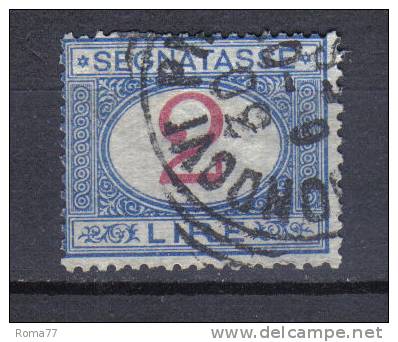 SS3186 - REGNO 1903 , Segnatasse 2 Lira N. 29  Usato - Postage Due