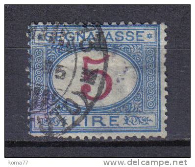 SS3188 - REGNO 1903 , Segnatasse 5 Lira N. 30  Usato - Taxe