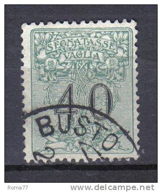 SS3195 - REGNO 1924 , Segnatasse VAGLIA : Il N. 2  USATO - Postage Due