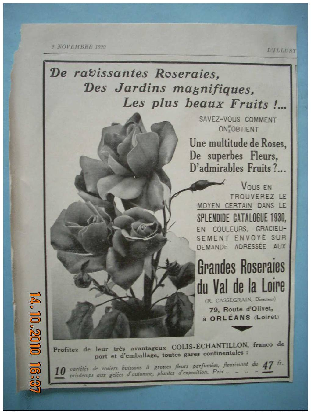 PUB  2    ROSES VAL DE LOIRE  ORLEANS - Publicités