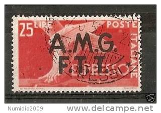 1947-48 TRIESTE A USATO ESPRESSO 25 LIRE - RR6122 - Express Mail