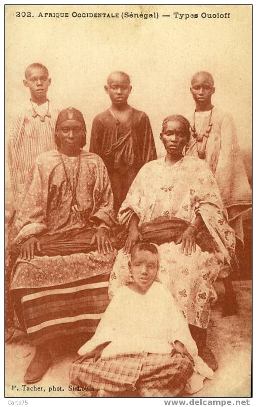 AFRIQUE Occidentale - SENEGAL - Types Ouoloff - Senegal