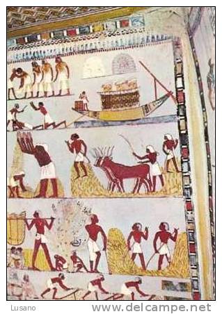 Luxor, Louxor - Tombs Of Nobles, Tombes Des Nobles - Peintures Murales Dans La Tombe De Menna - Luxor