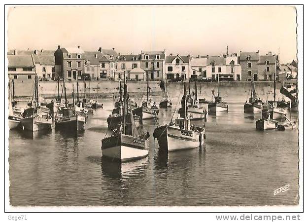 La Turballe -le Port Et Le Quai Central - La Turballe