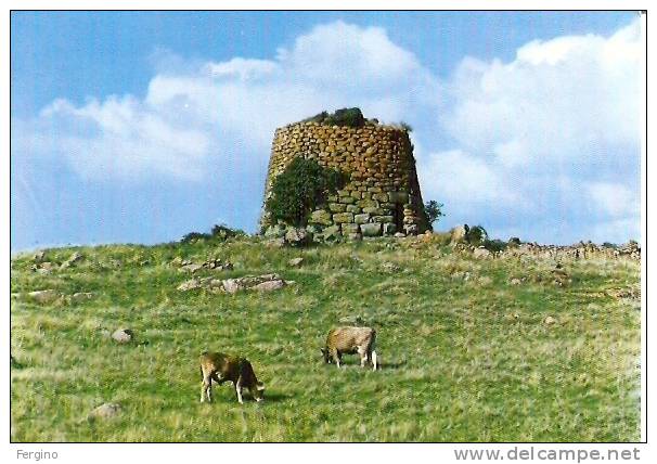 7275 - MACOMER(NUORO) - Nuraghe Succoronis - Nuoro