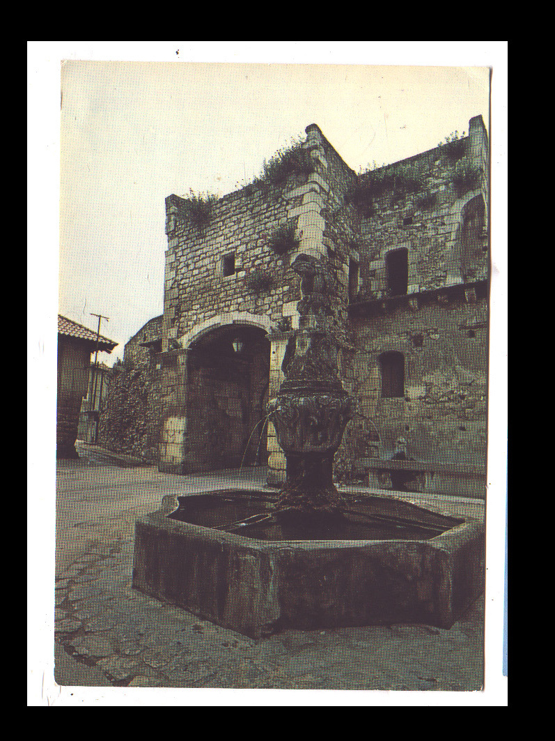 PERNES LES FONTAINES - FONTAINE DU CORMORAN - Pernes Les Fontaines