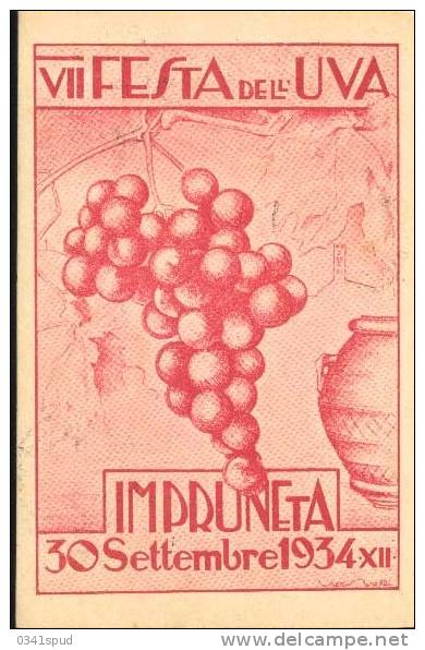 1934  Italia  Impruneta Firenze  Vins Raisin Vignoble Wine Grape Vineyard - Wines & Alcohols