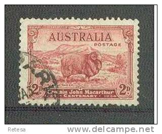 AUSTRALIE  100 JAAR DOOD J.  MACARTHUR  1934  Gestempeld - Used Stamps