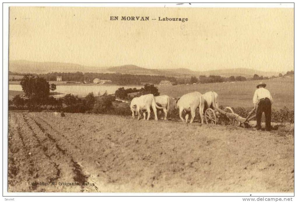 EN MORVAN. - Labourage - Attelages