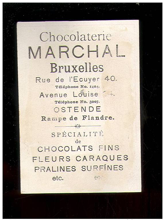 Chromo ( 1315 )  Chocolade  Chocolat  Marchal  Bruxelles  Ostende  Oostende - Andere & Zonder Classificatie