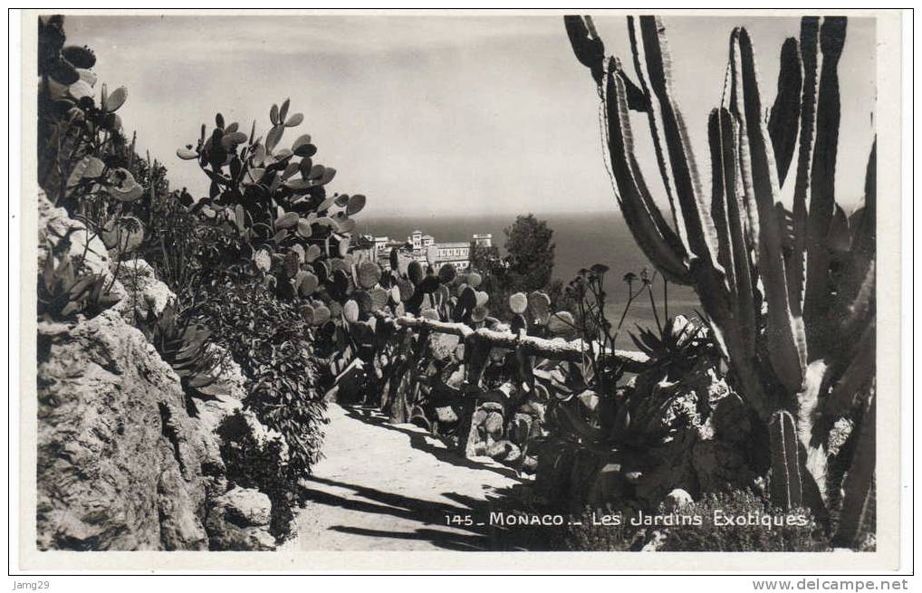 Monaco, Les Jardins Exotiques, No. 145, Ca. 1950 - Exotic Garden