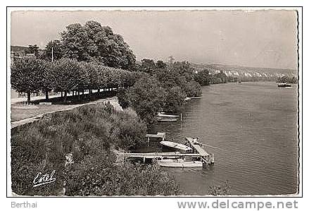 95 LA ROCHE GUYON - Promenade Des Tilleuls Et La Seine (Peche) - La Roche Guyon