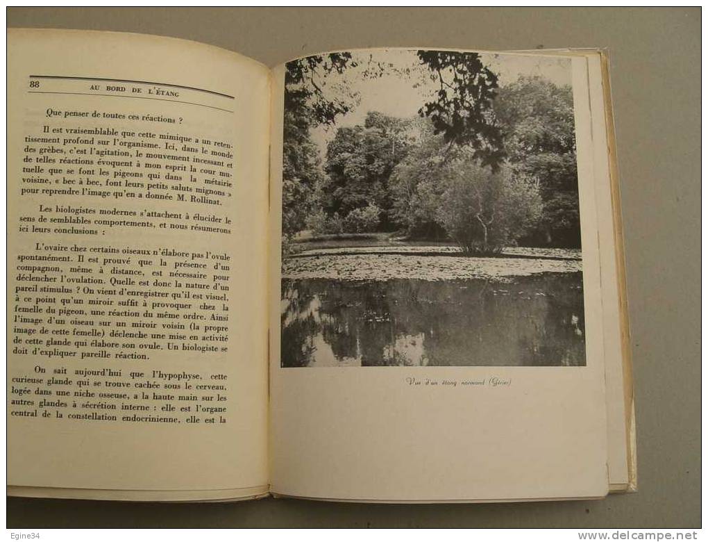 LEON BINET  -  AU BORD DE L'ETANG  - Préface De Georges Duhamel  - Illustrations - Autores Franceses