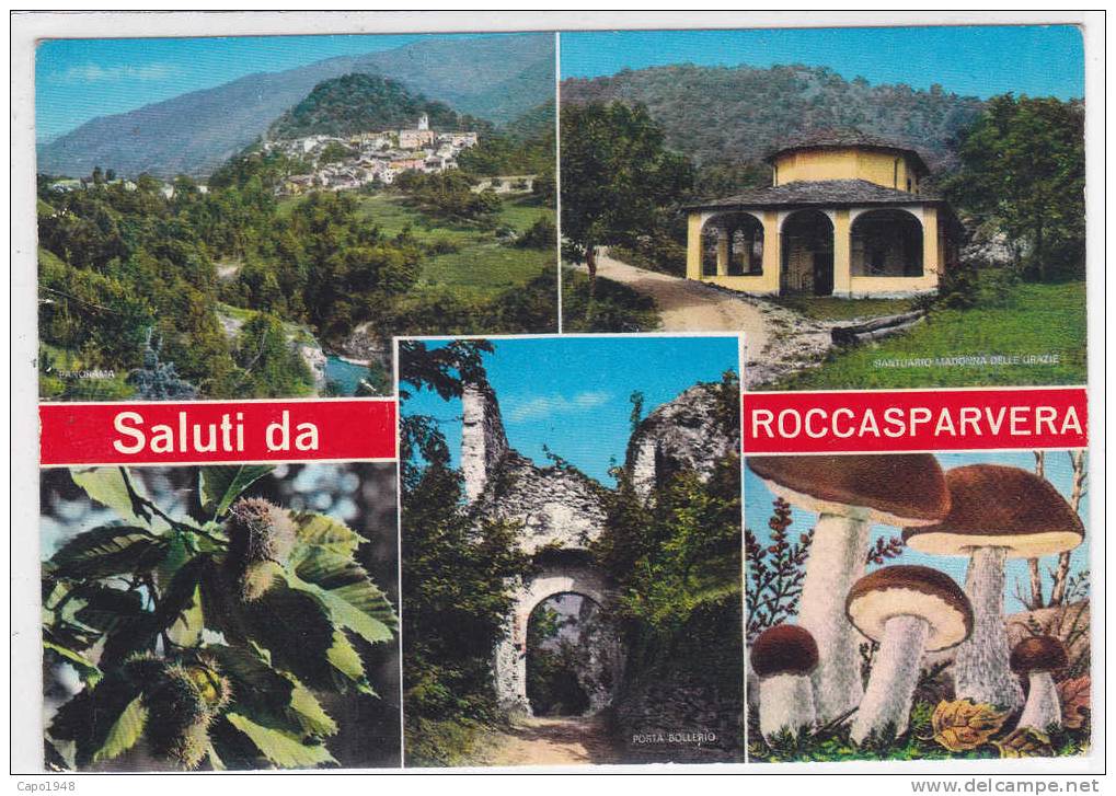 CARD ROCCASPARVERA  VALLE STURA  SALUTI DA....CON VEDUTINE E FUNGHI  (CUNEO)  -FG-V-2-  0882-9661 - Autres & Non Classés