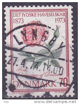 DENEMARKEN - Michel - 1973 - Nr 544 - Gest/Obl/Us - Usado