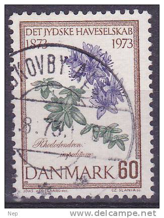 DENEMARKEN - Michel - 1973 - Nr 543 - Gest/Obl/Us - Usado