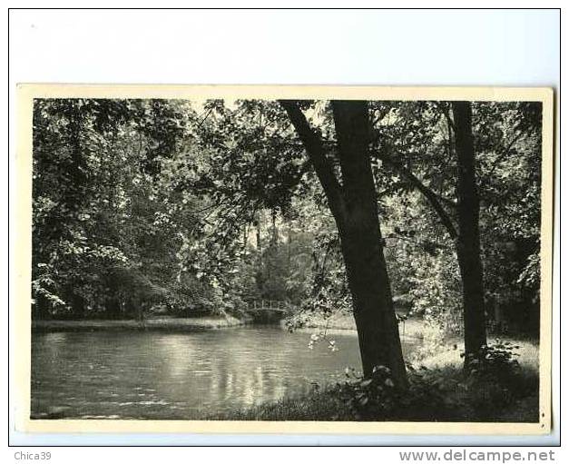 014547  -  GREZ-DOICEAU  -  Les Etangs - Graven