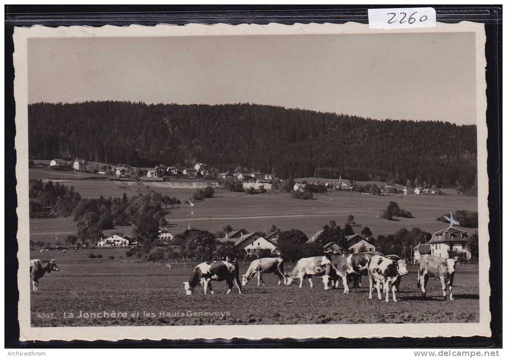 La Jonchère Et Les Hauts Geneveys Vers 1934 ;  Vaches (2260) - Geneveys