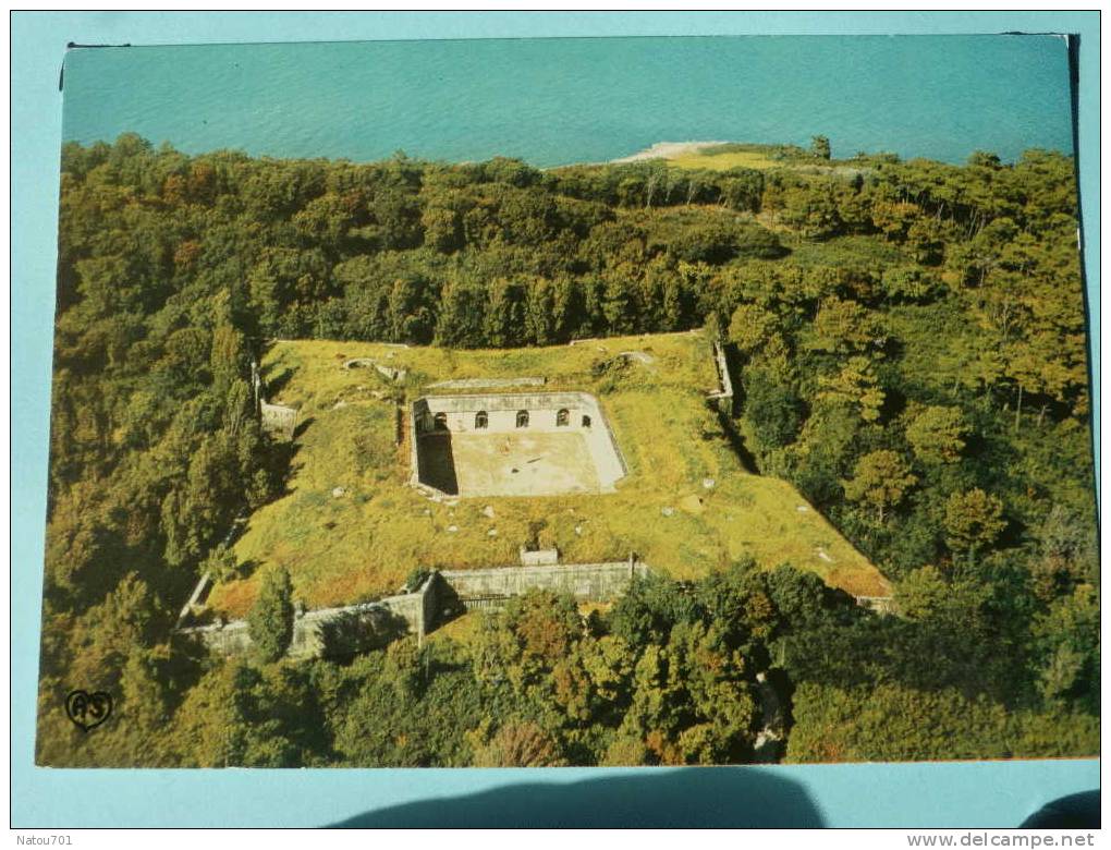 V5-17-charente Maritime-ile D'aix-fort Liedot -vue Du Ciel - Autres & Non Classés