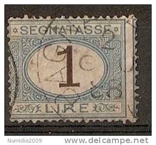 1870-74 REGNO USATO SEGNATASSE 1 LIRA - RR3291 - Taxe