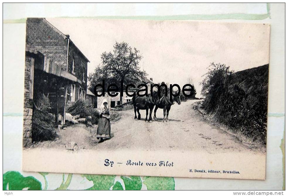 Sy-sur-Ourthe (entre Bomal Et Ferrières) - Ferrières