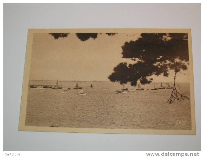 Lot 218-(achat Direct)               Port Navalo Vue Générale Du Port - Arzon