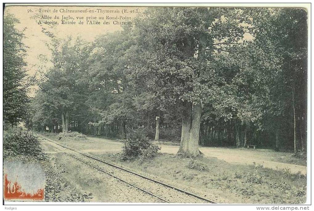 Dep 28 ; Cpa CHATEAUNEUF En THYMERAIS , 56 , Foret  , Allée Du Jaglu - Châteauneuf