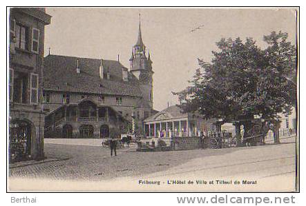 SUISSE FR - Fribourg - L Hotel De Ville Et Tilleul De Morat - Fribourg