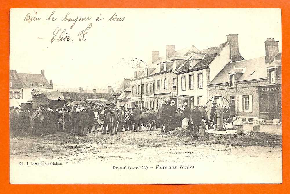 DROUE  -  Foire Aux Vaches - Droue