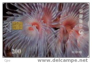 # TAIWAN 903C Anemone 200 Puce?   Tres Bon Etat - Taiwan (Formosa)