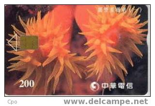 # TAIWAN 901C Anemone 200 Puce?   Tres Bon Etat - Taiwan (Formosa)