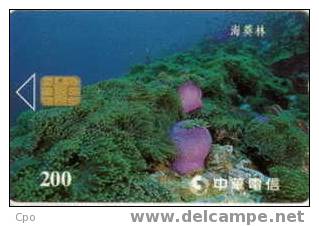 # TAIWAN 813C Sea Plants 200 Puce?   Tres Bon Etat - Taiwan (Formosa)