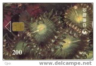 # TAIWAN 812C Sea Plants 200 Puce?   Tres Bon Etat - Taiwan (Formose)