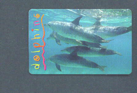 SOUTH AFRICA - Chip Phonecard/Dolphins - Afrique Du Sud